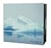 In a Frozen Sea: A Year with Sigur Ros