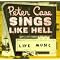 See Peter Case's List of Music You Should Hear