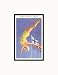Olympic Diving, Helsinki, Finland, 1952 Pre-Matted Print, 11