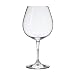 Riedel Vivant Pinot Noir Glasses Set of 4