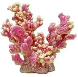 Br Mini Branch Coral Pink