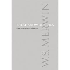 The Shadow of Sirius