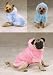 Pet Supplies : BLUE Ski Bunny Dog Jacket