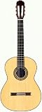 Takamine H8SS Hirade Concert Classic Acoustic Guitar w/ Case