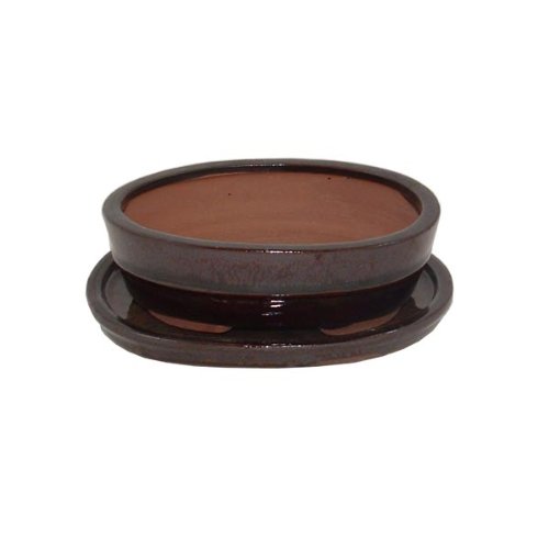 15cm Dark Red/Brown Oval Bonsai Pot and Tray 