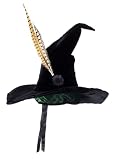 Harry Potter Professor McGonagall Hat