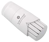 Schlösser Thermostatkopf 