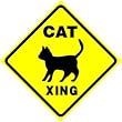 CAT CROSSING sign * street pet animal caution