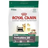 Royal Canin Mini Breed Yorkshire Dog (28)