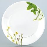 iwaki �R���[�� ���[���s�A���n�[�u ���M5������ B108-EH