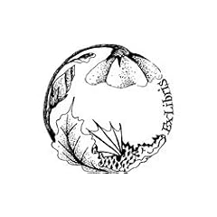 Motivstempel * Bilderstempel * Stempel * Exlibris Blumendrache * 266342