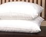 Pacific Coast Feathers and Down Queen Complete Pillow Set (4 Queen Pillows) - Featured in Many Hyatt Properties