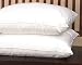 Pacific Coast Feathers and Down Queen Pillow - Featured in Many Hyatt Properties