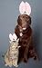 Dog  Cat Bunny Ears - Large