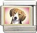 beagle9 - Clearly Charming Beagle Italian Charm
