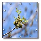 Jos Fauxtographee Realistic - A Budding Green Stem of a Tree in Focus with the Rest of The Tree Out of Focus on a Blue Sky - Wall Clocks