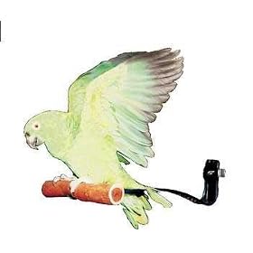 TopDawg Pet Supply Dancing Perch Large by TopDawg Pet Supply