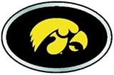 Iowa Hawkeyes Color Auto Emblem