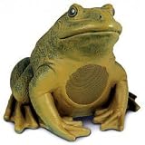 Outdoor Frog Speaker (Green) (11.5H x 13W x 13D)