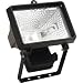 Outdoor Living : Halogen Floodlight (500w Black)