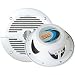 Boss Audio MR60W 6.5-Inch 2-Way Marine Speaker