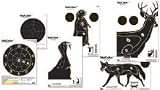CHAMPION TARGETS VISICOLOR DARTBOARD TARGET -- 10-PACK