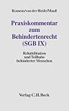 Praxiskommentar zum Behindertenrecht ( SGB IX). Rehabilitation und Teilhabe behinderter Menschen.