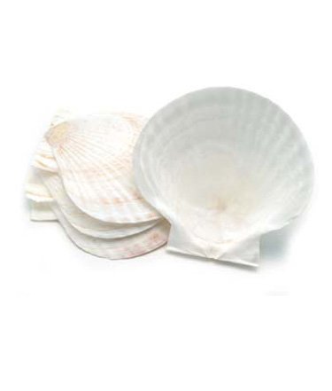 Natural Baking Shells Set of 4 By Nantucket Seafood