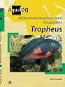 Afrikanische Buntbarsche 2. Tanganjika 1. Tropheus. Die Arten der Gattung Tropheus