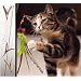 The Da Bird Value Pack (Includes 1 Da Bird Original Single 3 Foot Pole Cat Toy & 2 Replacement Feathers)