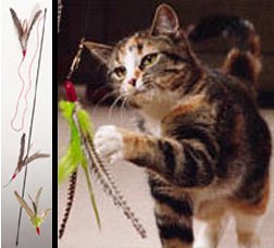 Childrens Toyshop  Pet Supplies : The Da Bird Value Pack (Includes 1 Da Bird Original Single 3 Foot Pole Cat Toy & 2 Replacement Feathers)