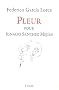 Pleur pour Ignacio Sanchez Mejias : Llanto por ignacio sanchez Mejias : Edition bilingue fran�ais-espagnol