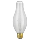 30 Pack 100 Watt Light Bulb