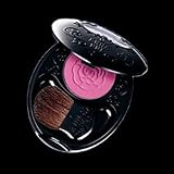 ANNA SUI（アナスイ） アナスイ　フェイスカラー　アクセント　G　【050】 チーク・フェイスカラー カラー　050 (1014412)