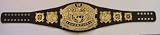 WWE Undisputed Championship Adult Replica Belt