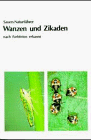 Zikaden