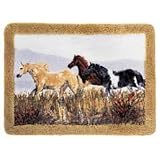 Band of Thunder Bath Mat Rug by Linens4Less