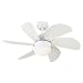 Westinghouse 7814565 Turbo Swirl 30-Inch 6-Blade Ceiling Fan, White with Opal Globe