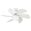 Westinghouse 7814565  Turbo Swirl 30-Inch 6-Blade Ceiling Fan, White with Opal Globe