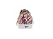 Vans Classic Authentic Lo Pro Floral Womens Trainers - VW7NFE7