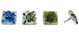 Glass Drawer Pulls or Cabinet Knobs
