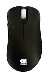 ZOWIE GEAR マウス 大型 EC1 EVO