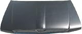 02 LINCOLN BLACKWOOD HOOD TRUCK (2002 02) L130102 XL7Z16612AA