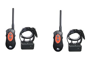 Childrens Toyshop  Pet Supplies : H2O Trainers Two Dog by DT Systems H20 1852