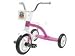 Kids Carousel Tricycle10 in Front Wheel Pink