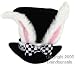 Search : Adult Rabbit Ear Hat