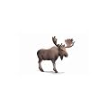 Schleich Moose
