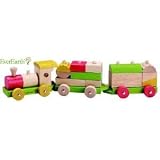 Toypost Everearth - Wooden Sorting Train Block Set