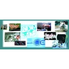 Biotechnology Applications in Animal Health and Production (Revue Scienttifique et technique)