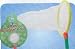 Third Party New : NATURE QUEST 12 inch BUTTERFLY NET by Toysmith